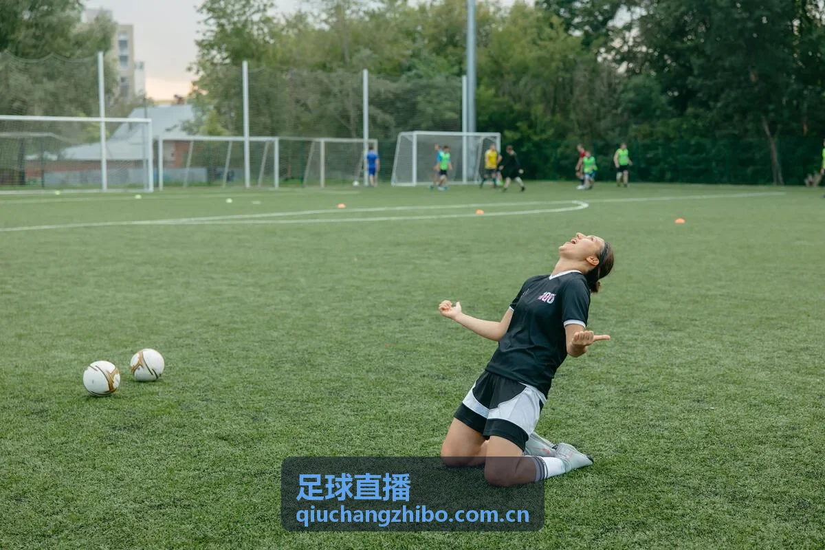 足球直播欧冠之夜专题