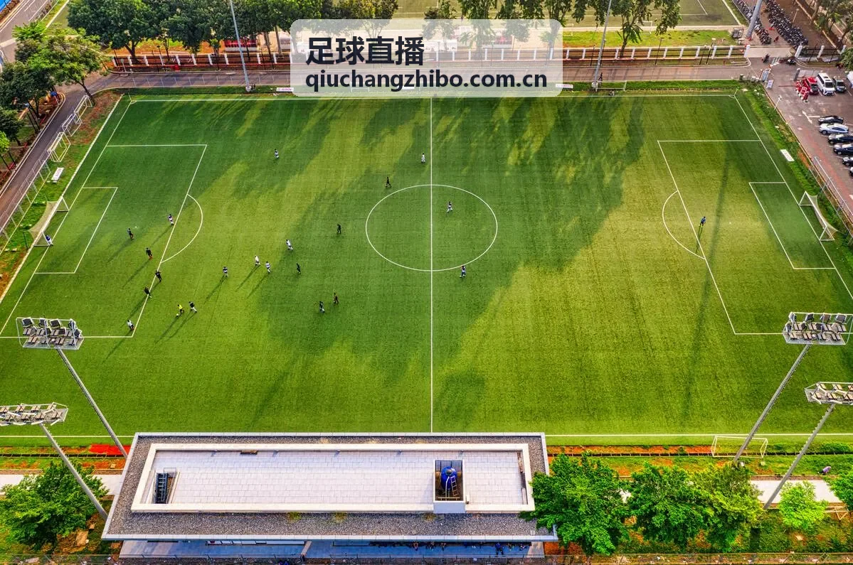 足球直播热门赛后战术分析